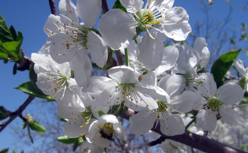 25.04.2010-003.jpg