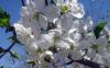 25.04.2010-003_t1.jpg