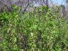 25.04.2010-024_t1.jpg