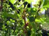 25.04.2010-026_t1.jpg