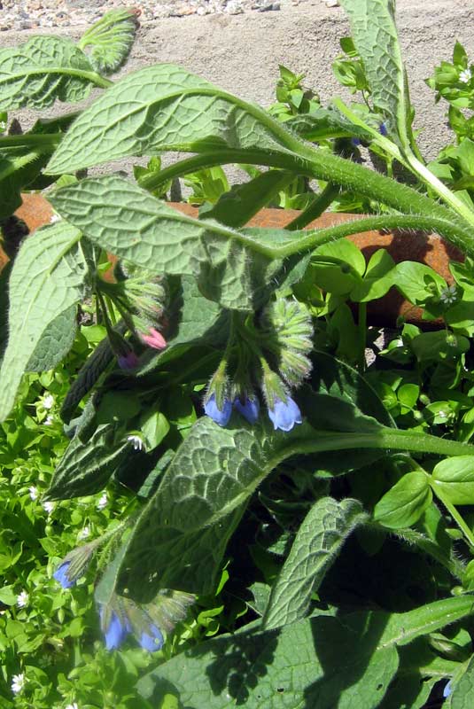 25.04.2010-088.jpg