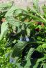 25.04.2010-088_t1.jpg
