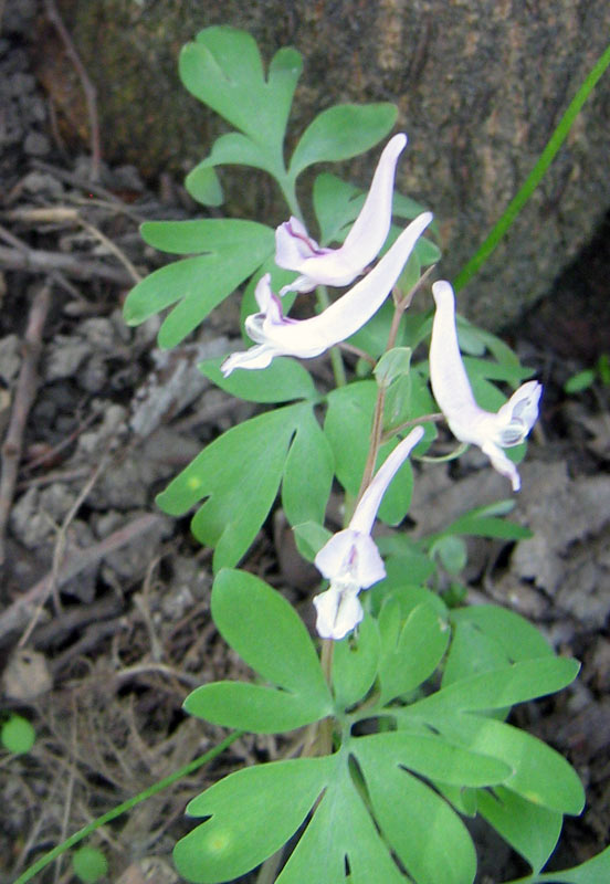 25.04.2010-103.jpg