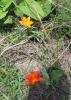 53000_67a0615a_t1.jpg