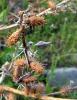 53082_416002e6_t1.jpg
