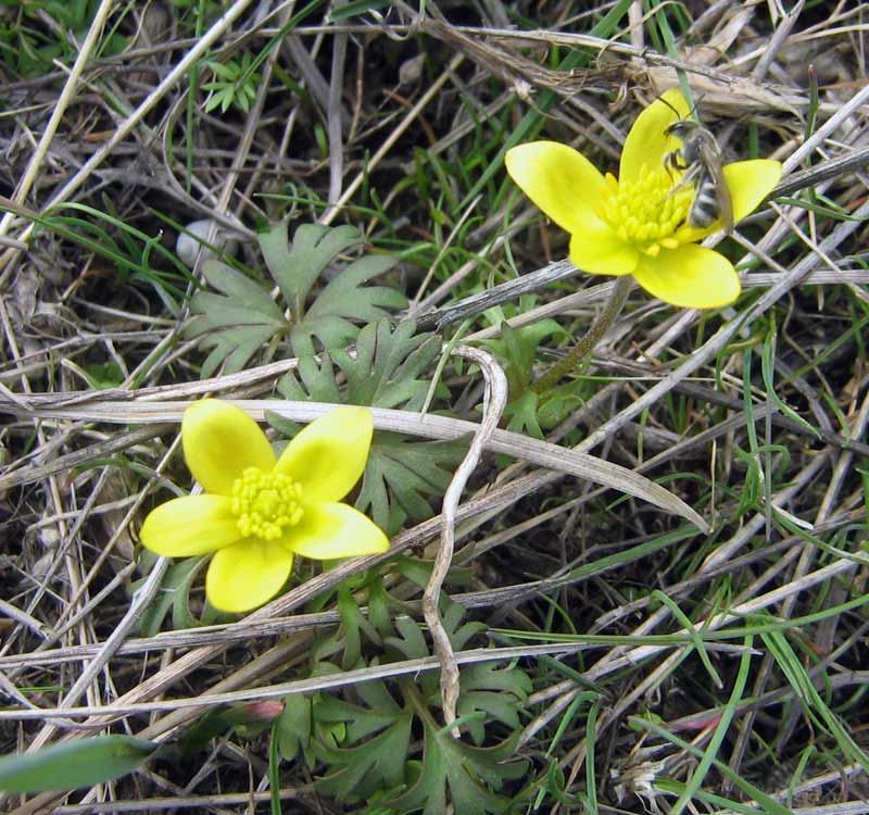 6.04.2010-023.jpg
