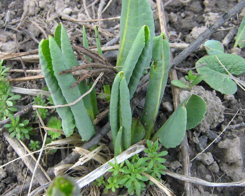 6.04.2010-066.jpg