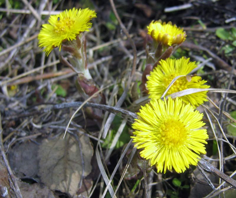 6.04.2010-074.jpg