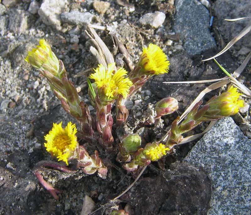 6.04.2010-081.jpg