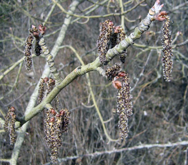 6.04.2010-095.jpg