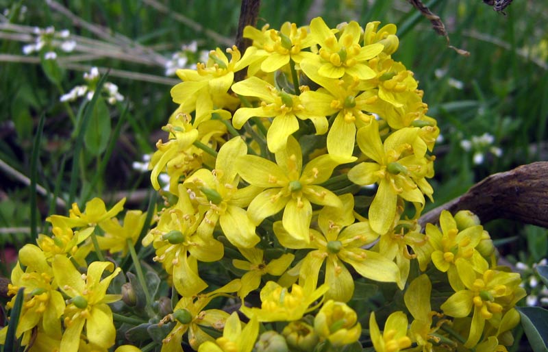 9.04.2010-016.jpg