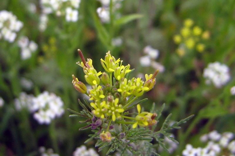 9.04.2010-077.jpg