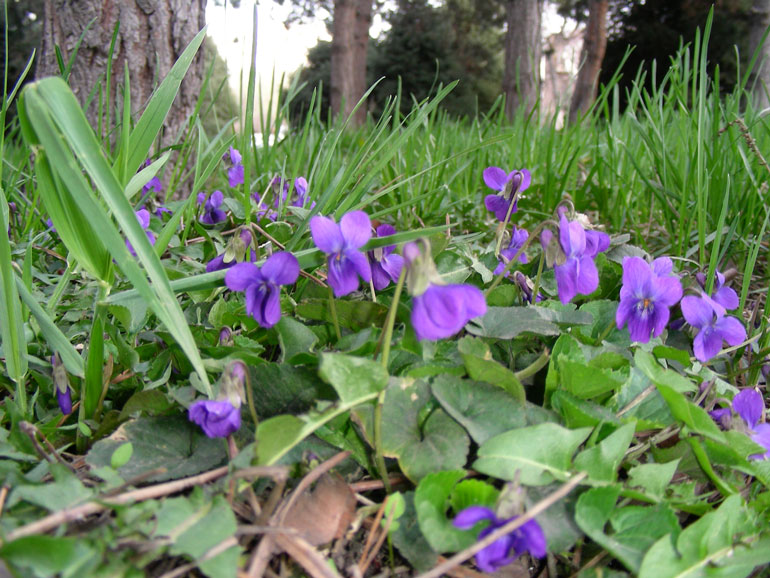 dscn8195.jpg