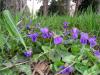 dscn8195_t1.jpg