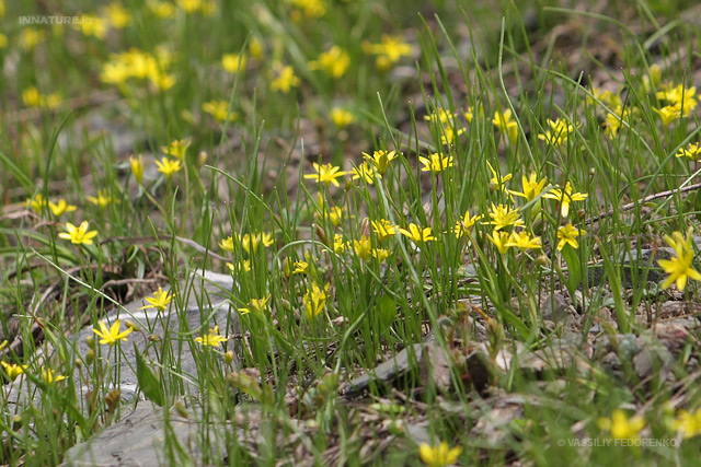 plant_022.jpg