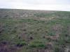 17.04.2010-020_t1.jpg