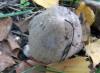 28-29.09.2009-040_t1.jpg