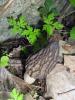 16.05.2010-071_t1.jpg