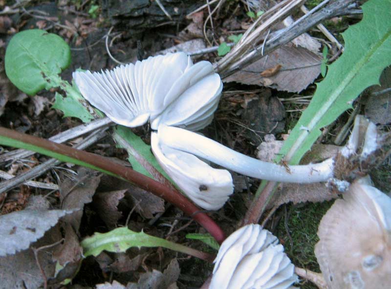 19.05.2010-070.jpg