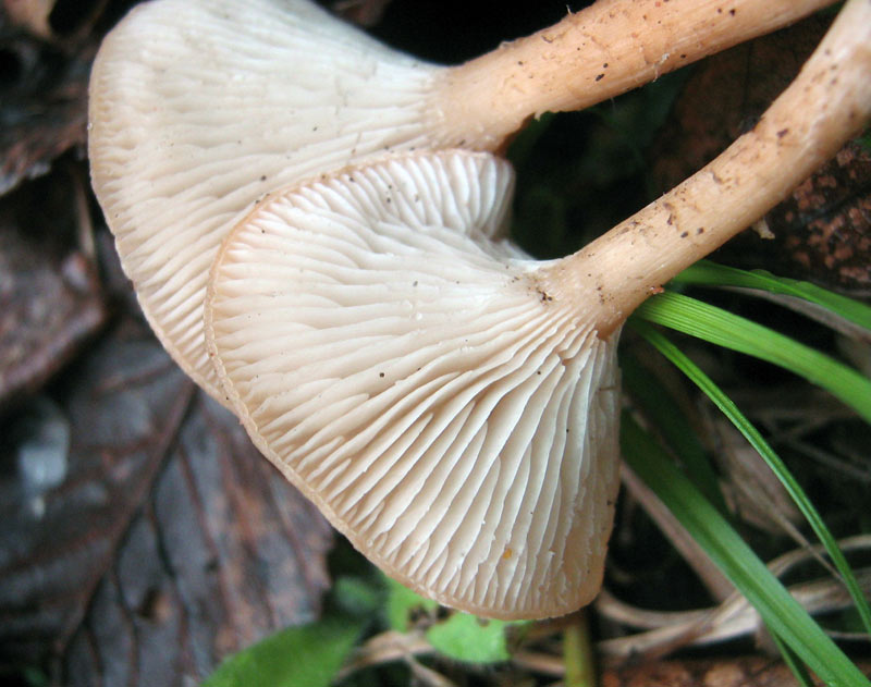23.05.2010-082.jpg