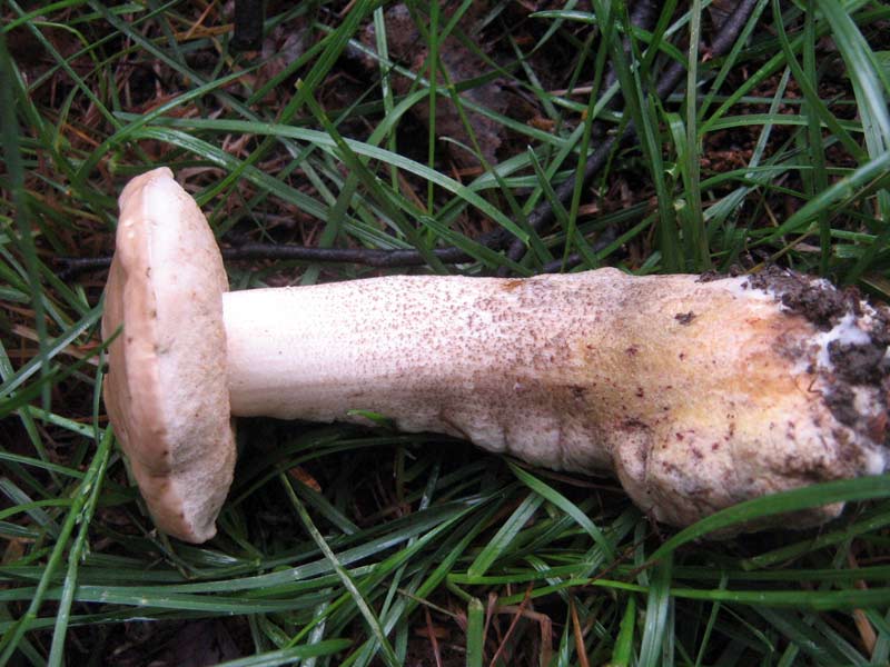 27.05.2010-089.jpg
