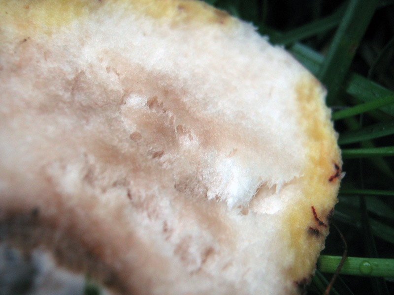 27.05.2010-091.jpg