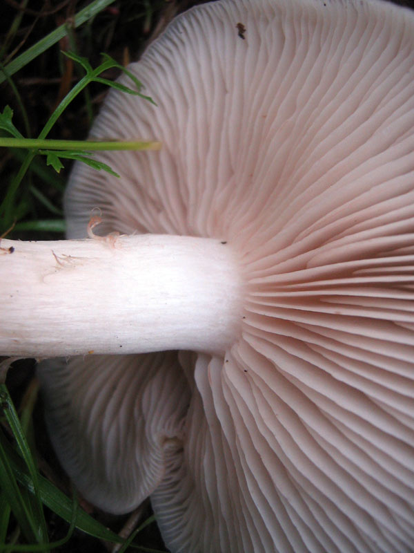27.05.2010-103.jpg