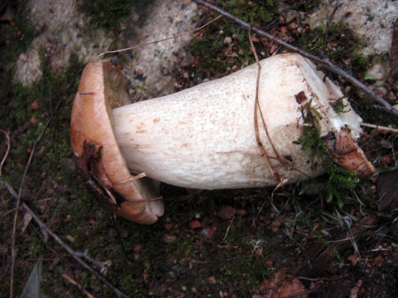 27.05.2010-119.jpg
