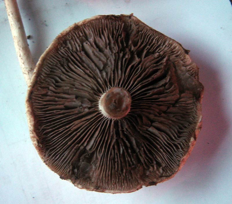 29.05.2010-010.jpg
