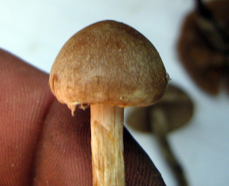 31.05.2010-033.jpg