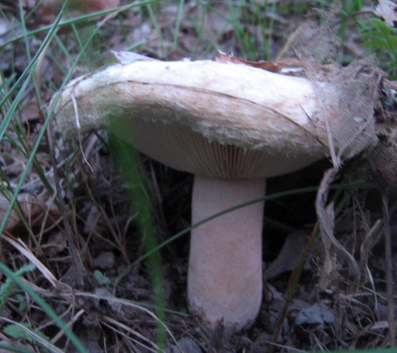 31.05.2010-042.jpg