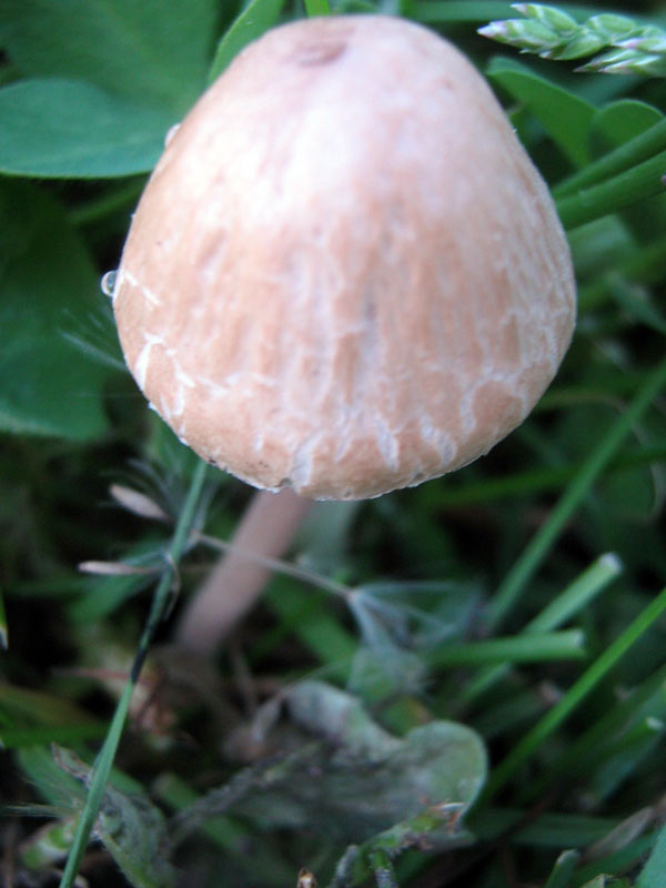 31.05.2010-117.jpg