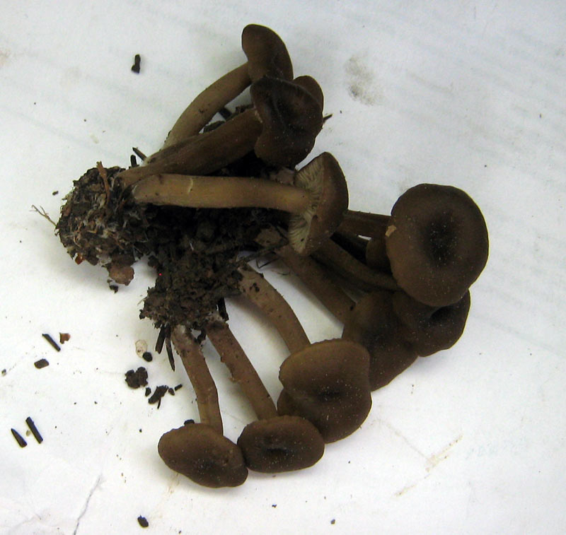 31.05.2010-182.jpg