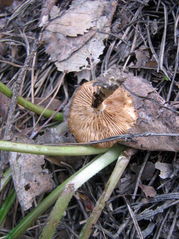 31.05.2010-249.jpg