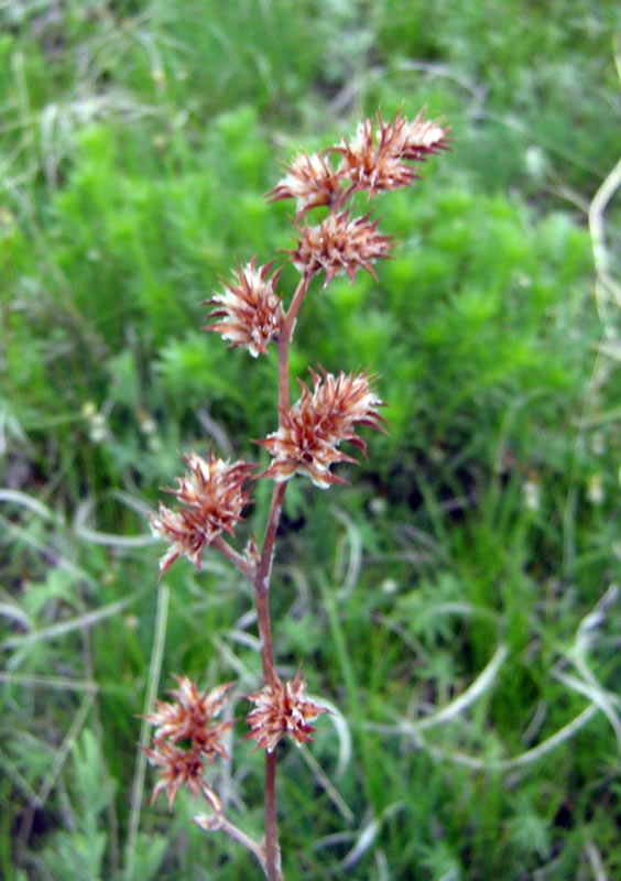 1.05.2010-364.jpg