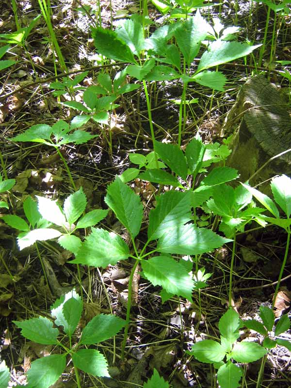10.05.2010-040.jpg