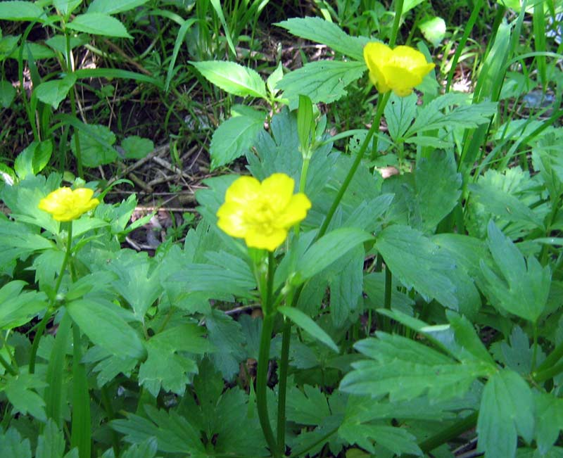 10.05.2010-071.jpg