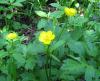 10.05.2010-071_t1.jpg
