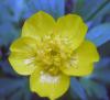 10.05.2010-077_t1.jpg