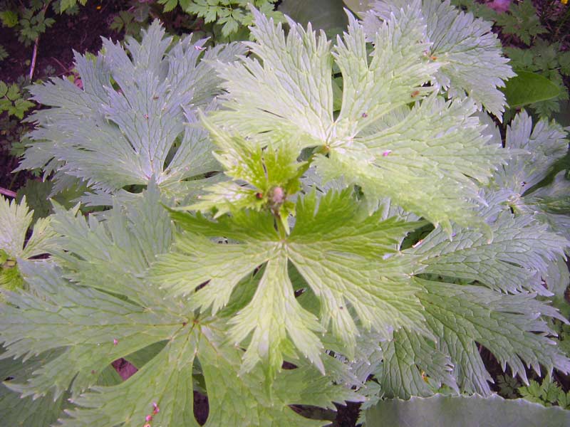 11.05.2010-013.jpg