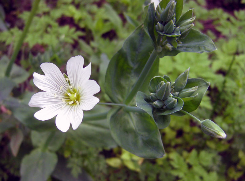 11.05.2010-032.jpg