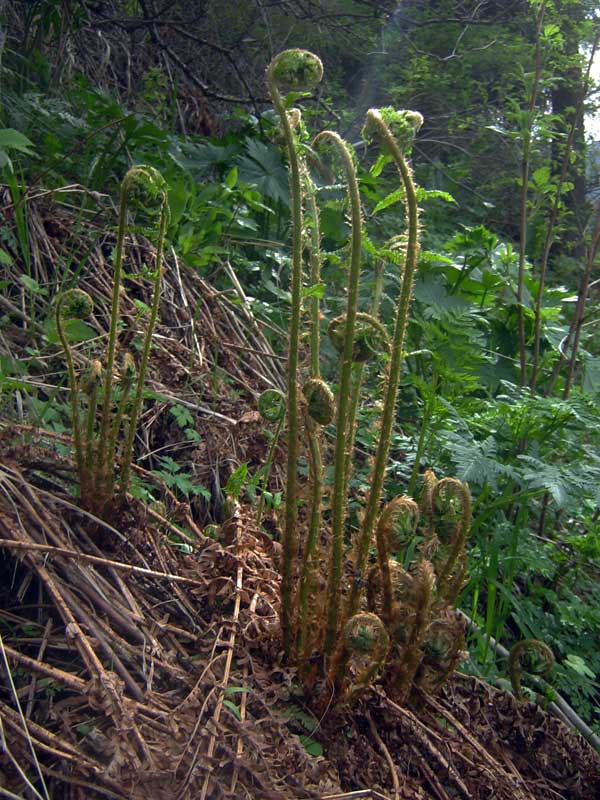 11.05.2010-150.jpg