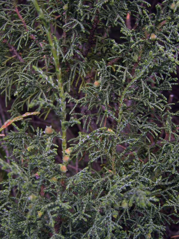 11.05.2010-171.jpg