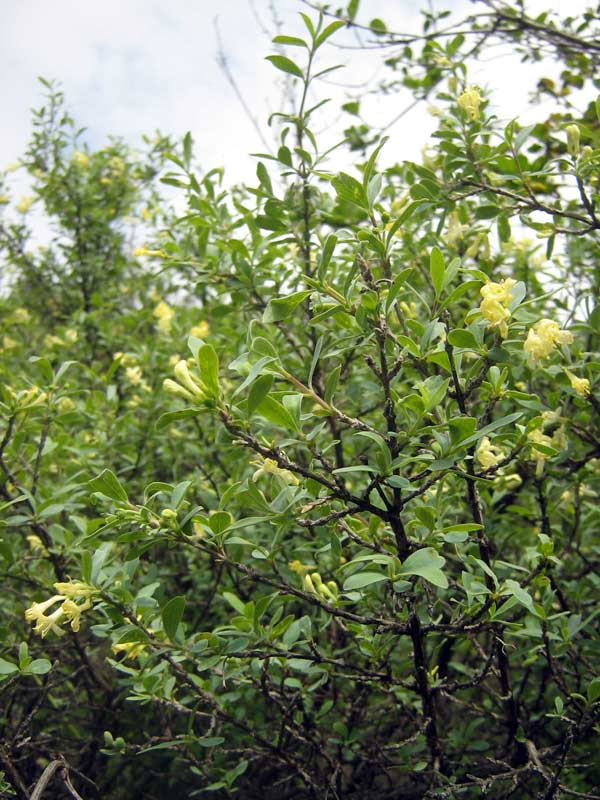 11.05.2010-189.jpg
