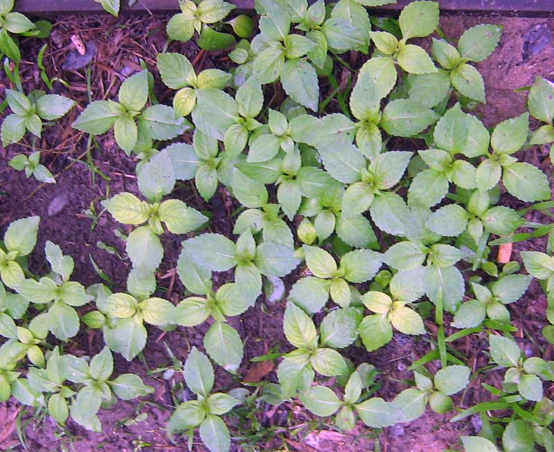 2.05.2010-099.jpg