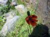 20.05.2010-093_t1.jpg