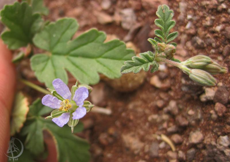 2012.05.20.91.jpg