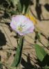 2012.05.26.23_t1.jpg
