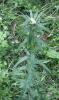 23.05.2010-049_t1.jpg