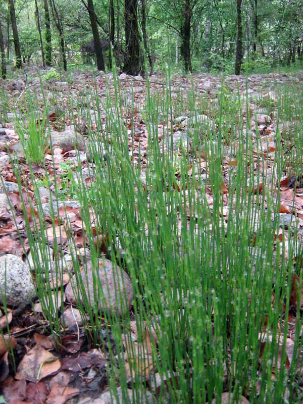 23.05.2010-106.jpg